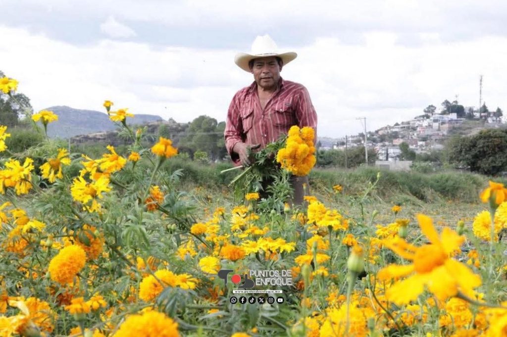 La imagen actual no tiene texto alternativo. El nombre del archivo es: IMG-20251030-WA0135.jpg